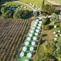 whatsapp image 2025-11-01 at 14 whatsapp image 2025-11-01 at 14